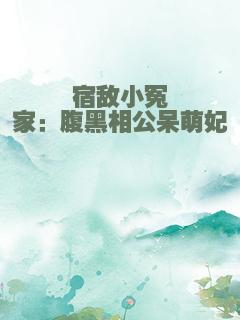 宿敌小冤家：腹黑相公呆萌妃