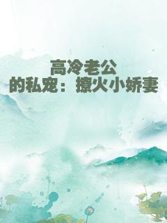 高冷老公的私宠：撩火小娇妻