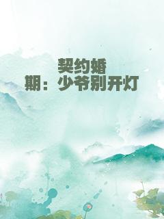契约婚期：少爷别开灯