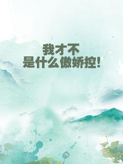 我才不是什么傲娇控！