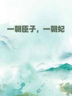 一朝臣子，一朝妃