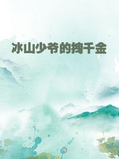 冰山少爷的拽千金