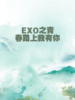 EXO之青春路上我有你