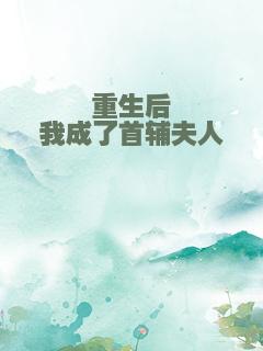 重生后我成了首辅夫人