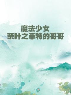 魔法少女奈叶之菲特的哥哥