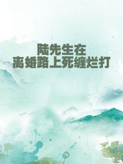 陆先生在离婚路上死缠烂打