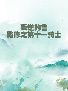 叛逆的鲁路修之第十一骑士