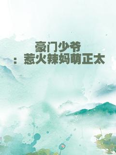 豪门少爷：惹火辣妈萌正太