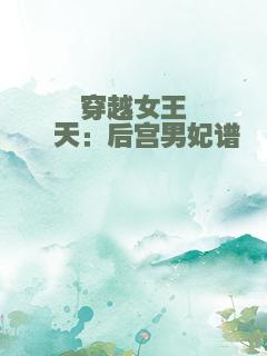 穿越女王绯天：后宫男妃谱