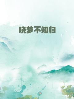 晓梦不知归