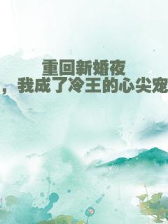 重回新婚夜，我成了冷王的心尖宠