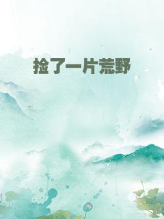 捡了一片荒野