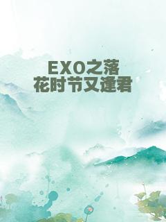 EXO之落花时节又逢君