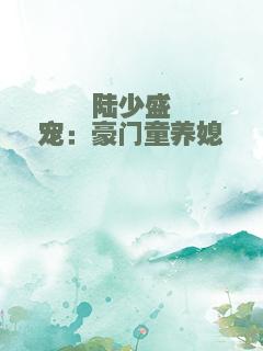 陆少盛宠：豪门童养媳