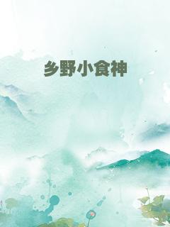 乡野小食神