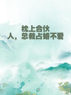 枕上合伙人，总裁占婚不爱