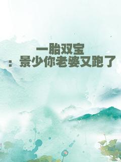 一胎双宝：景少你老婆又跑了